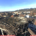 14_40-nest.jpg