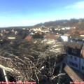 14_50-nest.jpg