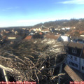 14_55-nest.jpg