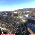 15_00-nest.jpg