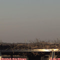 15_15-mast.jpg