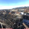 15_15-nest.jpg