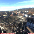 15_20-nest.jpg