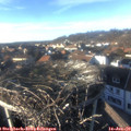 15_25-nest.jpg