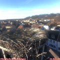 15_30-nest.jpg