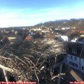 15_35-nest.jpg