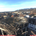 15_40-nest.jpg
