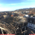15_45-nest.jpg