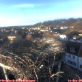 15_50-nest.jpg