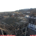 15_55-nest.jpg