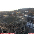 16_00-nest.jpg
