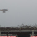 09_00-mast.jpg