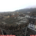 09_05-nest.jpg
