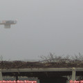 09_20-mast.jpg