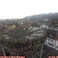 09_20-nest.jpg