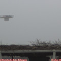 09_35-mast.jpg