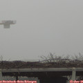 09_55-mast.jpg