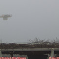 10_00-mast.jpg