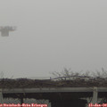 10_05-mast.jpg