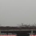 10_10-mast.jpg