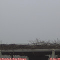 10_20-mast.jpg