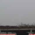 10_25-mast.jpg