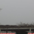 10_30-mast.jpg
