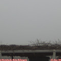 10_35-mast.jpg