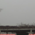 10_40-mast.jpg