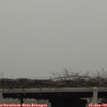10_45-mast.jpg