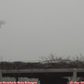 10_50-mast.jpg