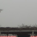 10_55-mast.jpg