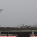 11_05-mast.jpg