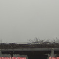11_10-mast.jpg