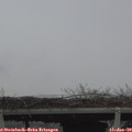 11_25-mast.jpg