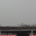11_45-mast.jpg