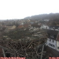 11_50-nest.jpg