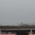 12_00-mast.jpg