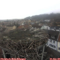 12_00-nest.jpg