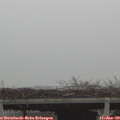12_05-mast.jpg