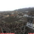 12_05-nest.jpg