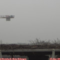 12_10-mast.jpg