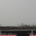 12_20-mast.jpg