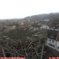12_25-nest.jpg