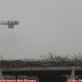 12_30-mast.jpg
