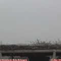 12_35-mast.jpg
