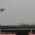 12_40-mast.jpg