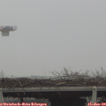 12_45-mast.jpg