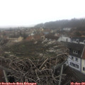 13_00-nest.jpg