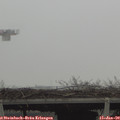 13_05-mast.jpg